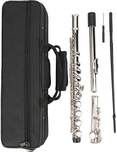 Flöjt, LADE 16 Hål C Flöjt Sluten Nyckel med Förvaringsväska Ökad Rörresonans Musikinstrument för Flöjtnybörjare (Silver)