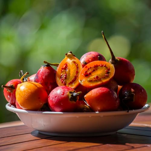 semi di di pomodoro (semi di pomodoro)-semi biologici,facili da piantare Aiuole rialzate per il giardino 200pcs