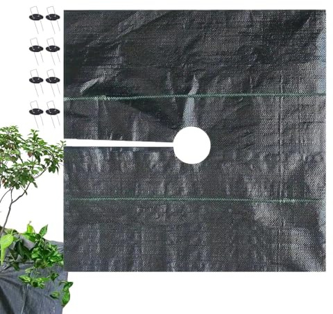 Malla Antihierbas | Lona Agujereada para Jardinería | Cubierta Negra para Árboles Frutales con Clavijas de Suelo para Invernaderos Laderas Erosión Parterres Césped Artificial Eventos