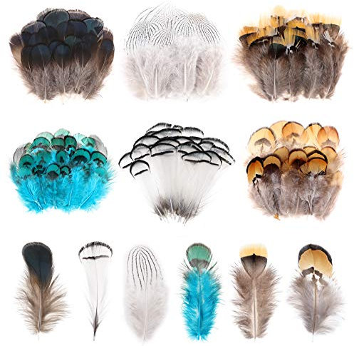 MWOOT 120 Stück Basteln Federn, 6-Arten Deko Federm, Klein Bastelfedern für DIY Traumfänger Ohrringe Karneval Fasching Kostüm Verzierungszubehör, Mini Federn Grün Braun Weiß