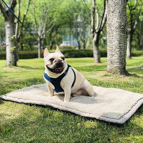Petly World Haustierdecke für Hunde Katzen Kleintiere Flauschig für Sommer und Winter Liegedecke Travel Mat Waschmaschinenfest