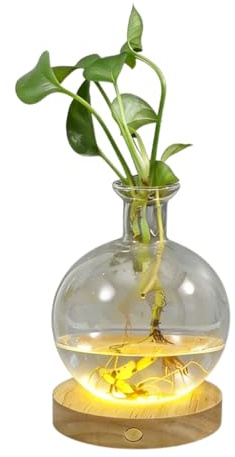 LED Hydroponic Plant Vase, Illuminated Clear Glass Water Propagation Planter with Built-in Light for Cuttings, Self-Watering Decor Vase with Ambient Night Light for Home Desk Decor(Round)