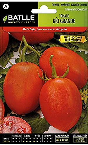 Semillas Batlle Semences de tomates Rio Grande
