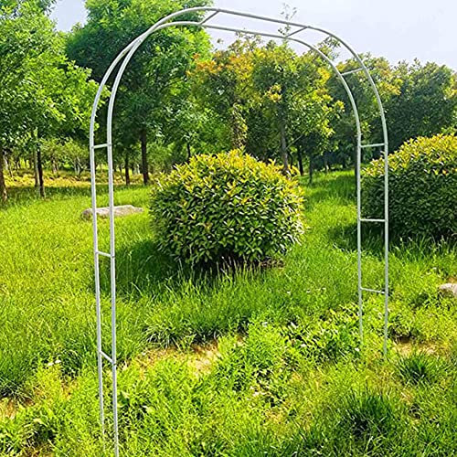 Arche de jardin en métal pour mariage arcs de roses, diamètre 19 mm, tube facile à monter pour plantes grimpantes, noir, 1,2 x 2,2 m