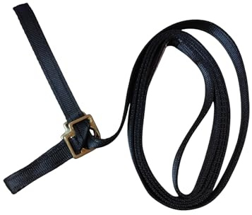 Horse Show Halter, 20mm Black Webbing, for Pony, Donkey, Foal, Shetland