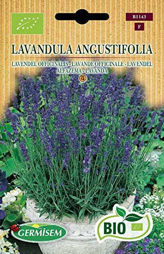 Germisem Lavendel LAVANDULA ANGUSTIFOLIA, ECBIO1143