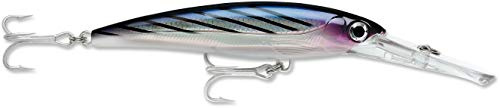 Rapala - Señuelo de Pesca X-Rap Magnum - Material de Pesca con Gran Babero Que se Hunde - Señuelo Pesca Marina - Profundidad de Nado 9m - 16cm/72g - Hecho en Estonia - Purple Mackerel