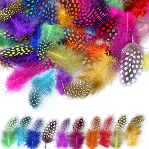 MWOOT 120 Stück 5-13cm Bunte Indianer Feder zum Basteln Federn bunt für DIY Kunstwerk, Dekoration für Karneval Masken, Hüte oder Haarschmucken, 10 Farben