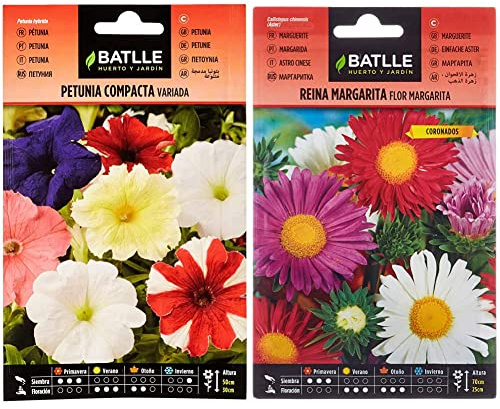 Semillas Batlle - Petunia Compacta VARIADA, Multicolor & Reina Marg. FLOR MARGARITA