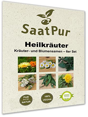 SaatPur® Saatgut Heilkräuter 6er Set für ca. 300 Pflanzen, Kräutersamen, Blumensamen, 6 Saattüten: Spitzwegerich, Löwenzahn, Brennnessel, Ringelblume, Gänseblümchen, Schafgarbe, Graspapier-Verpackung