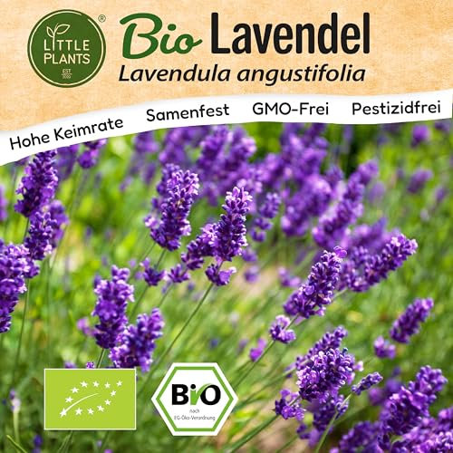 Little Plants BIO Lavendel Samen 300 Lavendelsamen Blumensamen für Blumenkübel Samenfest Blumen Samen für Balkon und Garten