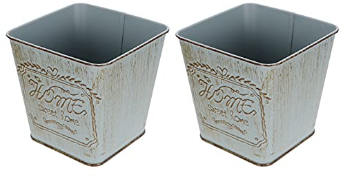 Didiseaon 2 pièces Pot de Fleurs Vintage Seau de Jardinage Pratique pour Plantes et Décorations Intérieur