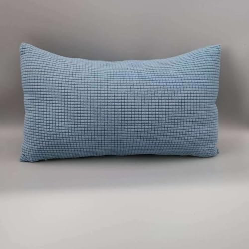 Sofa Kissenbezug 50x70 40x70 2er Set Samt Kissenbezüge 40x60, Zierkissenbezug Dekokissen Sofakissen Mit Reißverschluss 60x80 Kissenhülle Dekorative Zierkissenbezüge Kissen Bezug (Color : Sky Blue, S