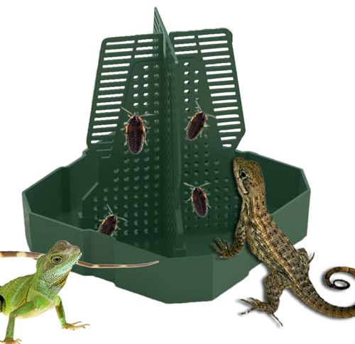 Xvilmaun Bartagamen-foderstation, reptilskål | kameleont foderskål –