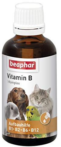 BEAPHAR – Vitamin B komplex för hundar, katter, gnagare, fåglar – vitamin uppbyggande behandling B1, B2, B6, B12 – stöder försvaret – aptitstimulerande – ökar välbefinnandet – 50 ml