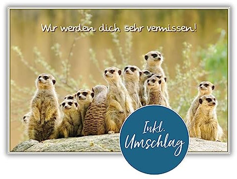 bsb Abschiedskarte - 11,5 x 17,0 cm - schöne Karte zum Abschied Kollegin & Kollege mit Erdmännchen-Motiv - liebevolle Karte zum Ruhestand - Abschiedsgeschenk Kollegen Rente & Jobwechsel