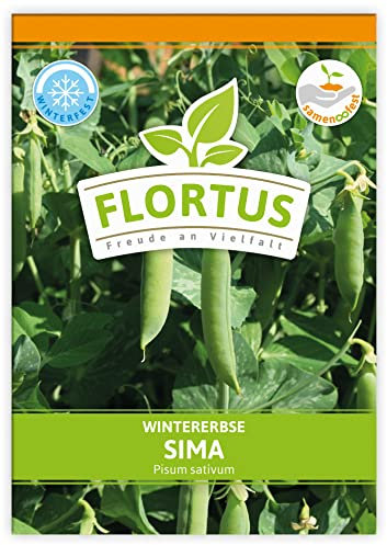 FLORTUS Wintererbse Sima | Gemüsesamen | Erbsensamen | Markerbsensamen | Samen zur Anzucht für Garten, Balkon, Küche & Fensterbank