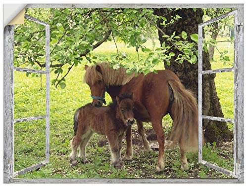 ARTland Wanddeko Wandtattoo selbstklebende Vinylfolie 80x60 cm Fensterblick Fenster Pferd Pony Tiere Natur Wiese Landhaus S8HN