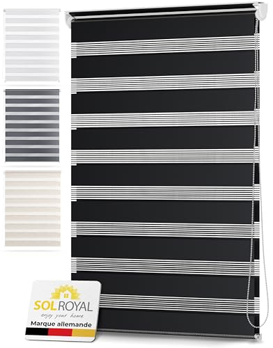 Sol Royal Persiana para Ventanas y Puertas SolDecor DL2 Estor Doble - Sin taladrar - Noche y día klemmfix Dormitorio Oficina Sala 120x150 cm Antracita