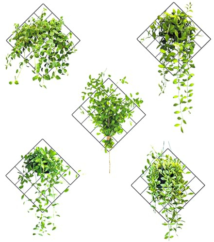 Prmape 5 Piezas Pegatinas de Pared 3D Plantas, Pegatinas de Pared de Planta Adhesivos para Decoración de Pared