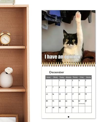 fayarrd Calendario gatos – Almanaque de pared 12 meses 2026 – Agenda regalo para familia amigos oficina casa Navidad