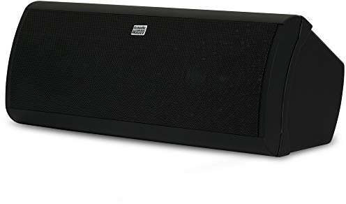 Acoustic Audio by Goldwood Acoustic Audio AA40CB - Altavoz Central de 3 vías para Interiores, 500 vatios, estantería Negra, 4 Pulgadas