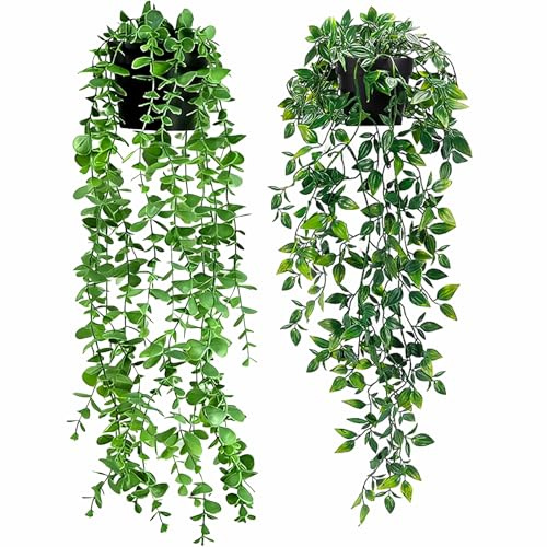 Aurevita Piante Artificiali Pendenti Dutch Bean, Mandala e Foglie di Eucalipto, Piante Finte per Soggiorno, Parete, Casa e Terrazza, Decorazione Estetica (2 pz)