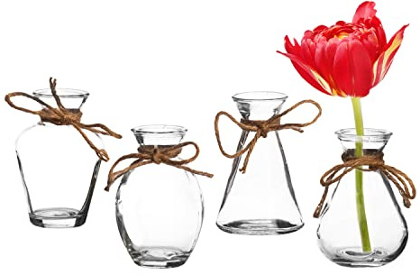 Royal Imports Clear Glass Bottle Bud Vase, Small Single Stem Flower Centerpiece, Mini Decorative Floral Jars, Rustic Farmhouse Home Decor, Kitchen, Fireplace, Shelf, Narrow One Rose Holder, Set of 4