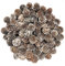 KY-Tech Christmas Pine Cones 100pcs Snow Pine Cones 1-2cm Mini Pine Cones Natural Pine Cones for Craft Christmas Rustic Pinecones for Christmas Wreath Decorations Christmas Tree Decoration (1-2CM)