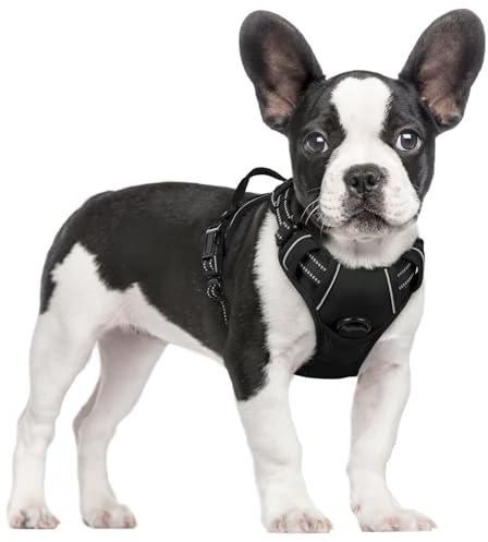 rabbitgoo Hundegeschirr Mittelgroße Hunde, Anti Zug Geschirr mit Kontrolle, No Pull Verstellbar Hundegeschirr Grosse Hunde, Atmungsaktiv Reflexstreifen Brustgeschirr Sichere Führung Schwarz S