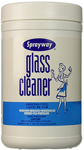 Glass Cleaner Wipes (10 x 12, 40 wipes)
