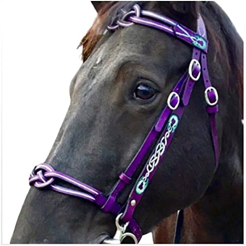 FHXYZ Leather Horse Bridles, Soft and Comfortable, Adjustable Size Equestrian Reins with Metal Cheek Buckle for Horse Racing Training Equipment (purple)