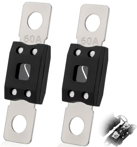 SWTYExt Kfz Sicherungen Mega Sicherung Hochstromsicherung 60A Ampere bis 58V DC Schraubsicherung Schwarz Flachsicherungen für KFZ Auto LKW PKW Wohnwagen Baufahrzeuge Busse (2 Stück)