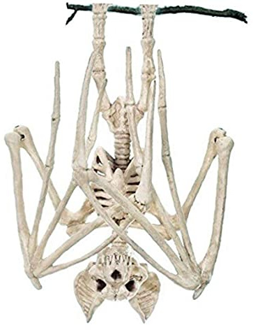 REOVE 1 x Skräcklig halloween fladdermus skelett simulering fladdermus skelett verklighetstroget fladdermus ben halloween rekvisita djur skelett för halloween dekoration fladdermus