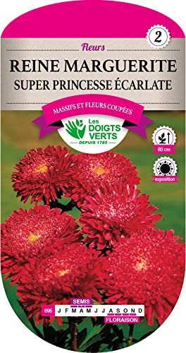 Reine Marguerite Super Princesse écarlate