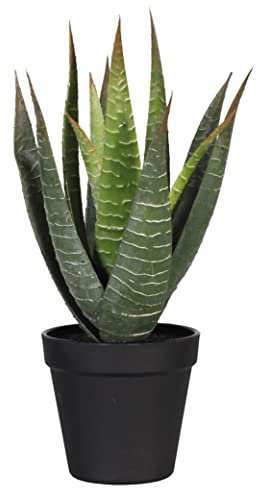 Blooming Artificial Plants Indoors in Pots, Faux Decorative Foliage, No Hassle, Easy Care, Perfect for Bringing Life to Indoor Spaces (Aloe Vera) (Green) (30cm)