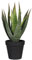 Blooming Artificial Plants Indoors in Pots, Faux Decorative Foliage, No Hassle, Easy Care, Perfect for Bringing Life to Indoor Spaces (Aloe Vera) (Green) (30cm)
