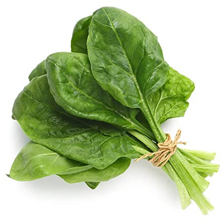 Vegetable Plants - Pick and Mix Selection - 12 x Full Spinach Plant Pack - Spinach Plants - Garden Ready + Ready to Plant - Premium Quality