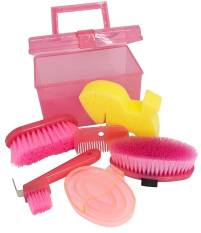 PFIFF 103116 Putzbox mit Inhalt „Petit Glitter“ | Pink