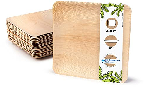 BIOZOYG Einwegteller 100 Stück 25x25 cm Palmblatt-Teller - Einweggeschirr kompostierbar - hochwertige Alternative für Bambus Teller und Pappteller - Partygeschirr