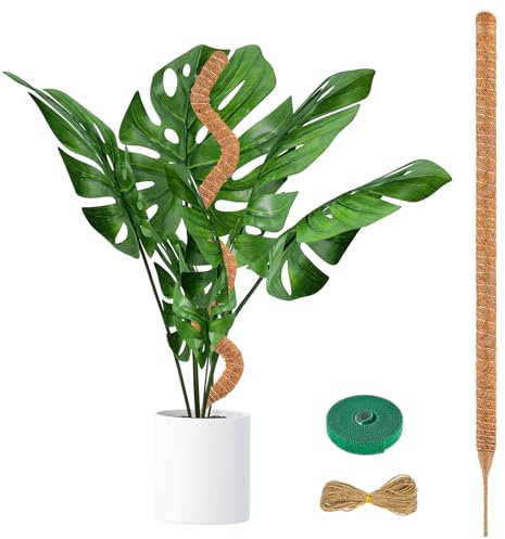 Pflanzstab Kokos, 120cm Monstera Rankhilfe, Kokosstab für Pflanzen, Biegsame Moosstab Monstera Stab Pflanzenstab aus Natürlicher Kokosfaser, Pflanzstäbe Kokos für Pflanzenstütze Garten Kletterpflanzen