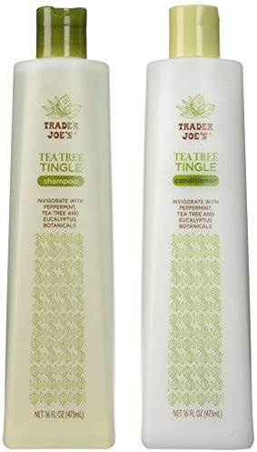 Trader Joe's Tea Tree Tingle Shampoo & Conditioner, 16 oz.