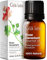 Gya Labs Rose Geranium Essential Oil for Skin - Geranium Oil for Diffuser - Rose Geranium Essential Oil for Aromatherapy, Self-Care & Candle Making - Freshly Floral Scent - 100% Natural (10ml)