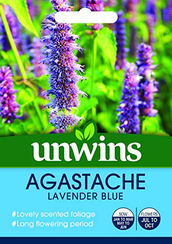 Unwins 30710043 Agastache Lavender Blue Seeds, Clear