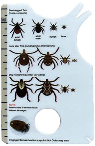 Zeckenkarte Mensch, Zeckenkarte Für Menschen, Zeckenpinzette Für Hunde, Zeckenentferner Für Katzen, Ermöglicht Einfaches Entfernen Von Zecken, Zeckenentferner Für Hunde Und Katzen, 8,5 X 5,4 X 0,1 Cm