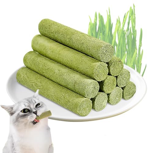 Simsky Katzenminze Sticks für Zahnpflege, 6 Stück, Kausticks für Katzen Zahnstein & Mundgeruch intelligenzspielzeug (Grün)