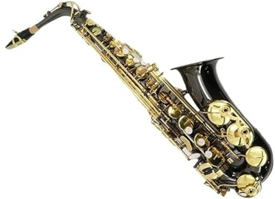 Professionell Saxofon Gyllene Altsaxofon För Musiker Och Nybörjare Handgjord Mässingston EB