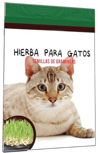 Semillas de Hierba para Mascotas Ideal para Cultivar Hierba de Gato en Casa