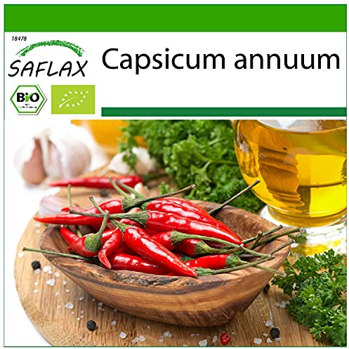 SAFLAX - Ekologiskt - Chili - De Cayenne Long Slim - 10 Frön - Med pottsubstrat för bättre odling - Capsicum annuum