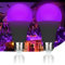 LIAISIMI UV Schwarzlicht Glühbirne, 9W LED UV E27 Glühlampe, 385-400 nm UVA Level Schwarzlichtlampe, UV Beleuchtung Partylicht für Party, Keller, Disco, Club, Bar, Neonfarben (2 Stück-Schwarz)